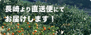 長崎より直送便にてお届けします！