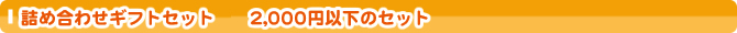 �l�ߍ��킹�M�t�g�Z�b�g�@1,500�~�̃Z�b�g