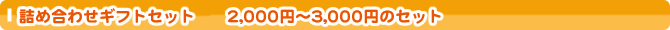 �l�ߍ��킹�M�t�g�Z�b�g�@2,000�~�̃Z�b�g