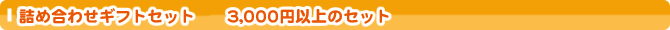�l�ߍ��킹�M�t�g�Z�b�g�@3,000�~�̃Z�b�g