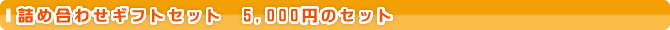 �l�ߍ��킹�M�t�g�Z�b�g�@5,000�~�̃Z�b�g