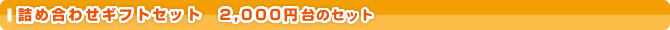�l�ߍ��킹�M�t�g�Z�b�g�@2,000�~�̃Z�b�g