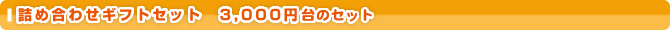 �l�ߍ��킹�M�t�g�Z�b�g�@3,000�~�̃Z�b�g