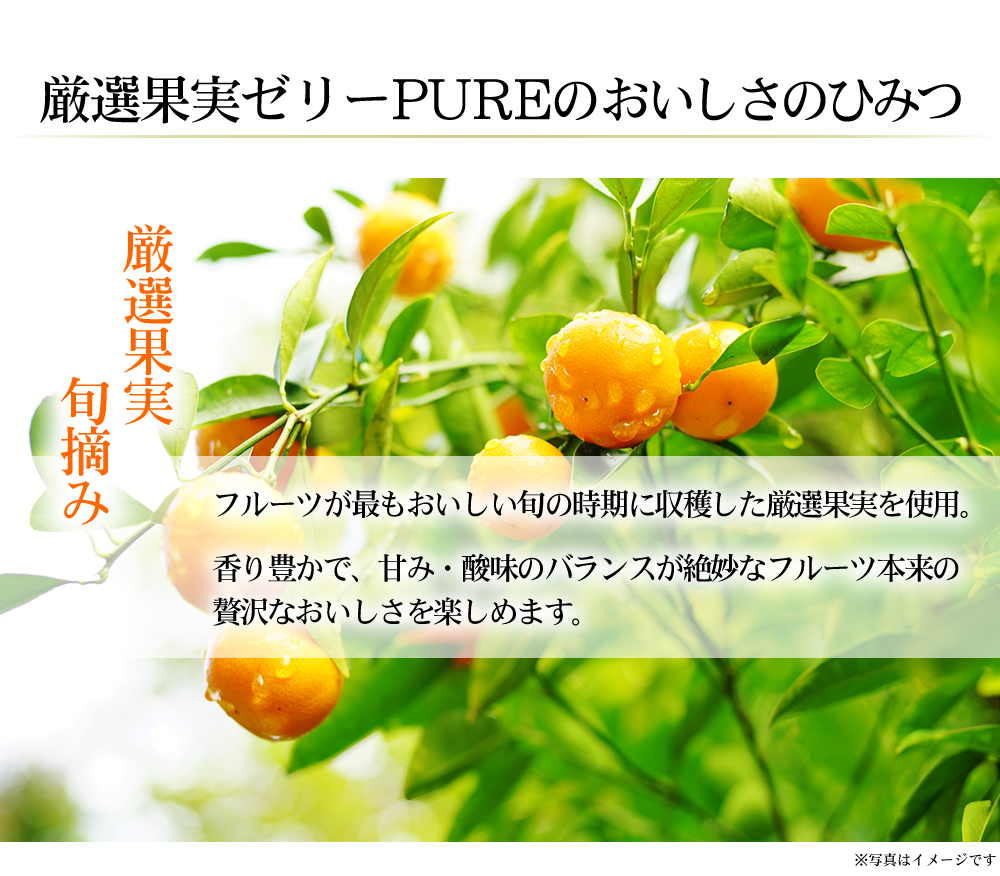 お中元 お歳暮 お年賀 に ゼリー ギフト たらみ Pureシリーズ 詰め合わせ 12個セット フルーツゼリーの通販サイト たらみ オンラインショップ お中元 お歳暮 お年賀 に ゼリー ギフト たらみ Pureシリーズ 詰め合わせ 12個セット フルーツゼリーの通販サイト たらみ オンラインショップ