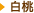 白桃