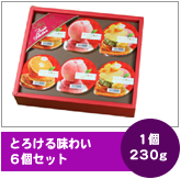 とろける味わい6個セット230g