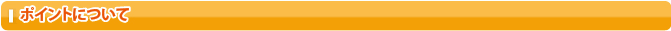 ポイントについて