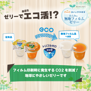 y16%OFF&݁z gv[ 255g 236Zbg (O[vt[cEkC)